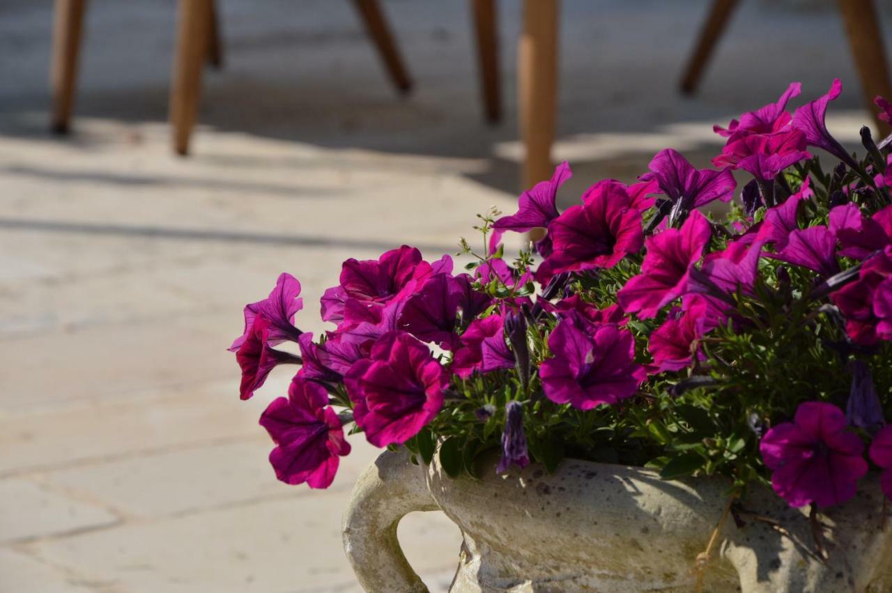 La Corticella Bed & Breakfast Martina Franca